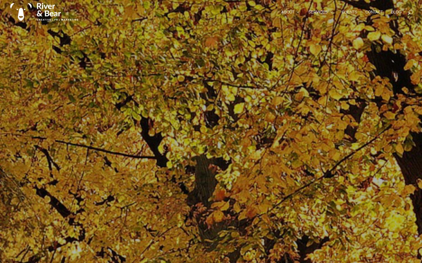 River & Bear Ltd Website