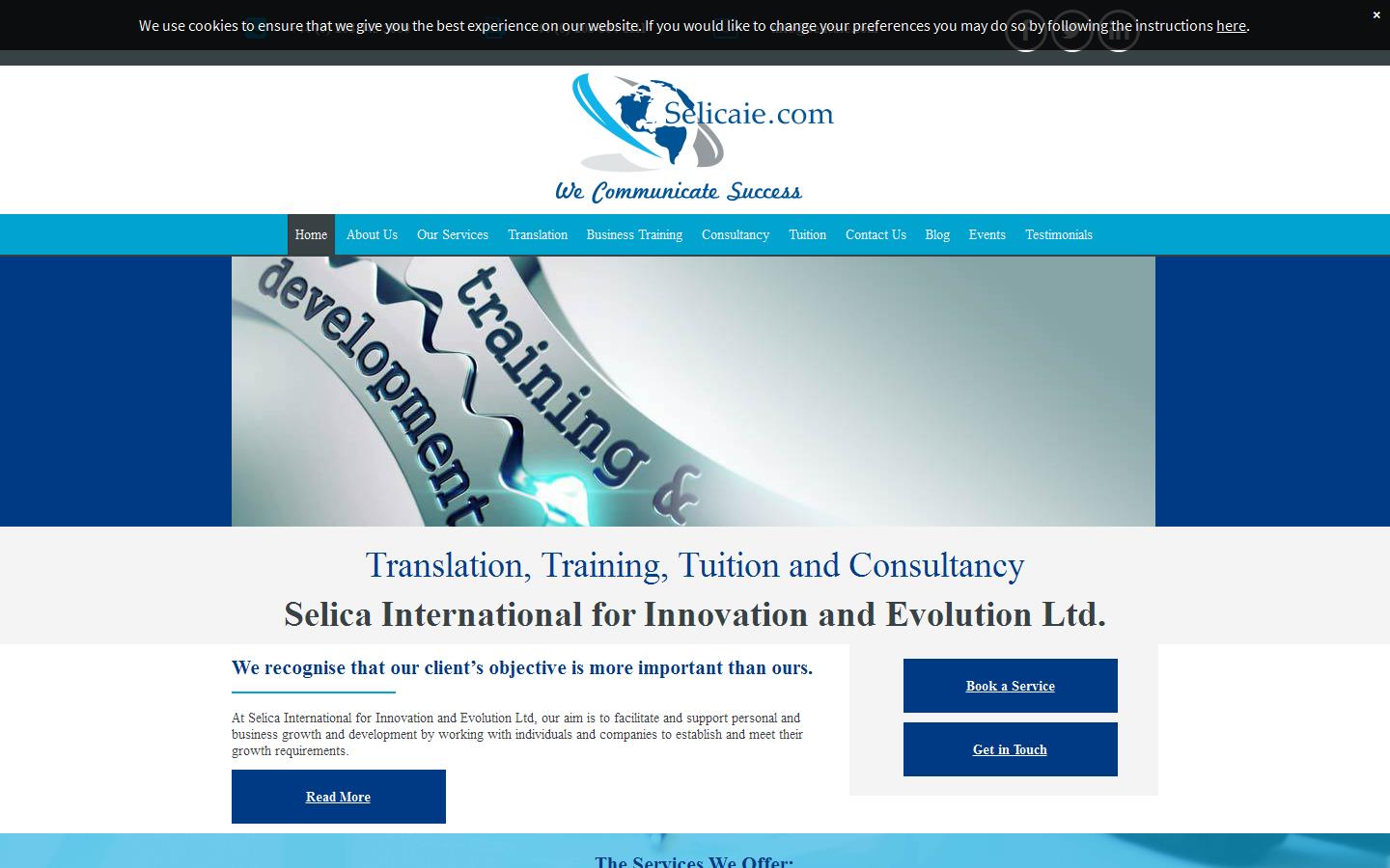 Selica International Ltd Website