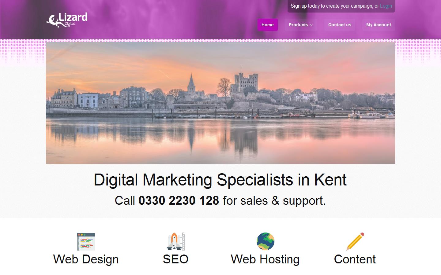 Lizard Digital Website