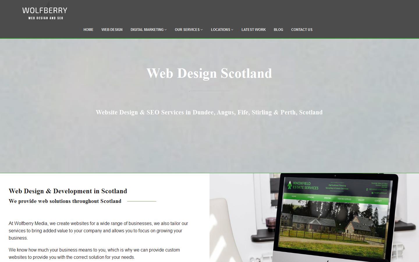 Wolfberry Media Website