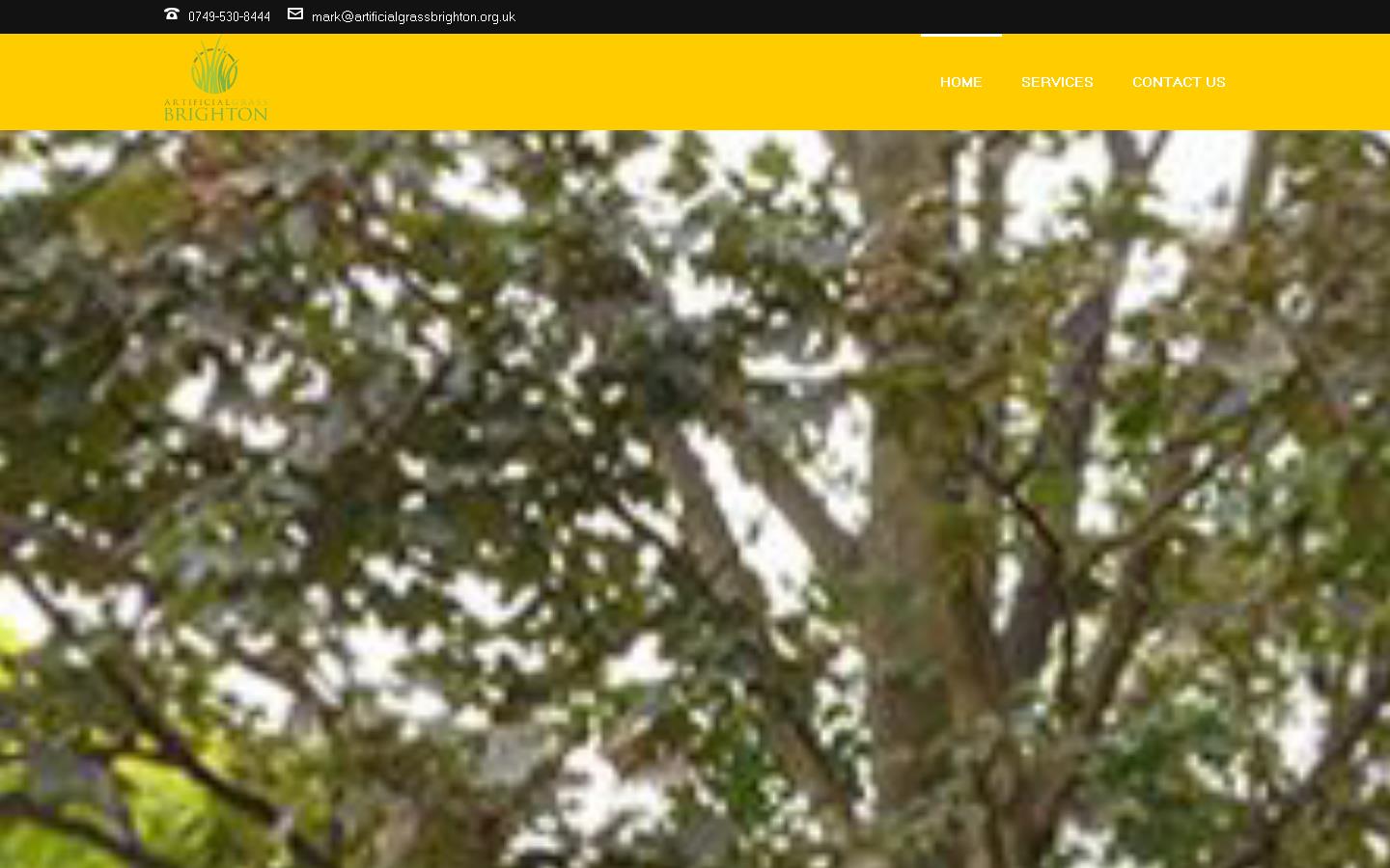 Artificial Grass Brighton Website