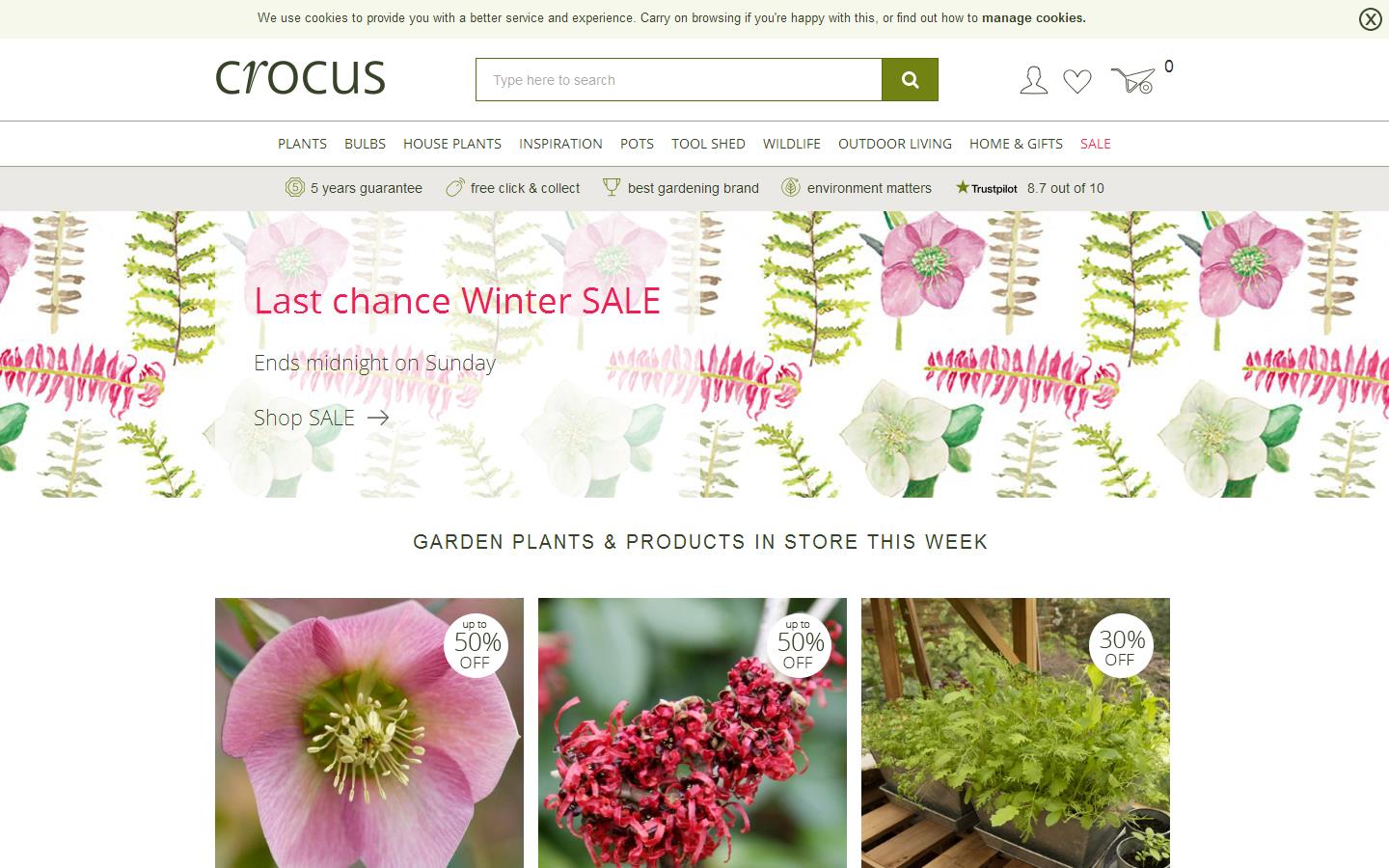 Crocus Ltd Website