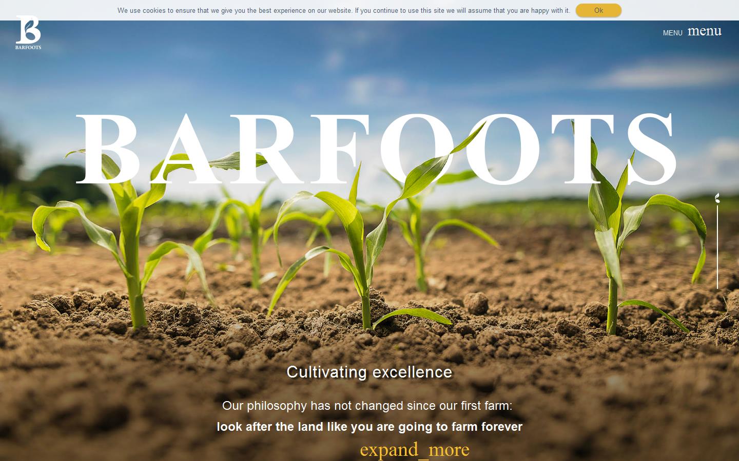 Barfoots Website