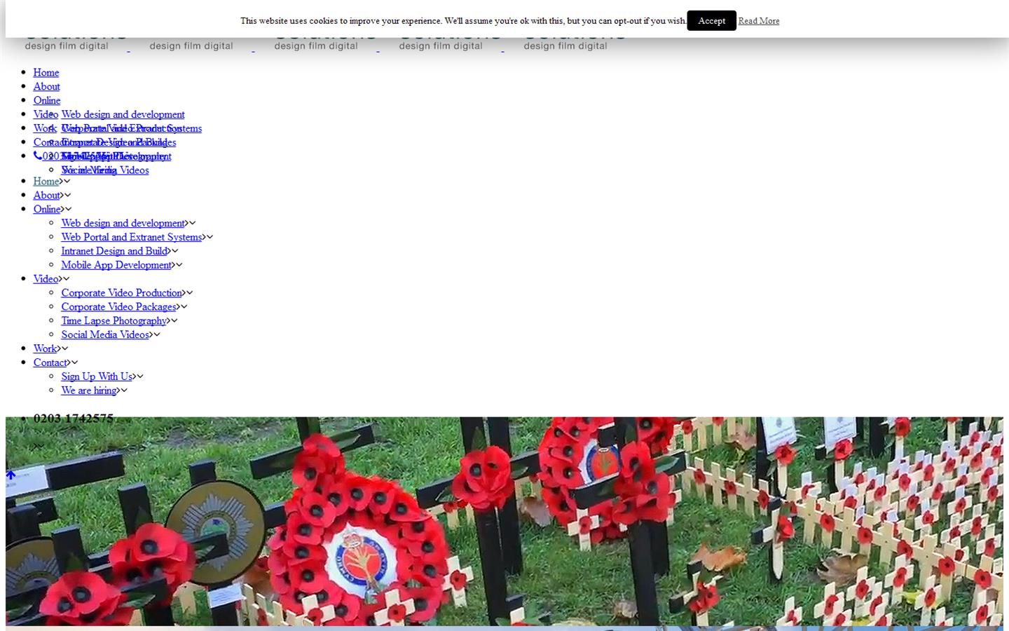 DFD Solutions  Website
