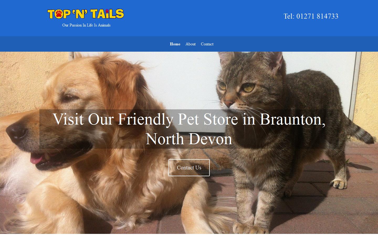 Top ''n'' Tails Website