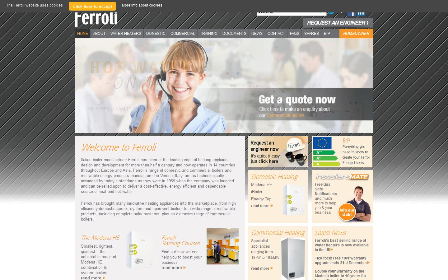 Ferroli Website