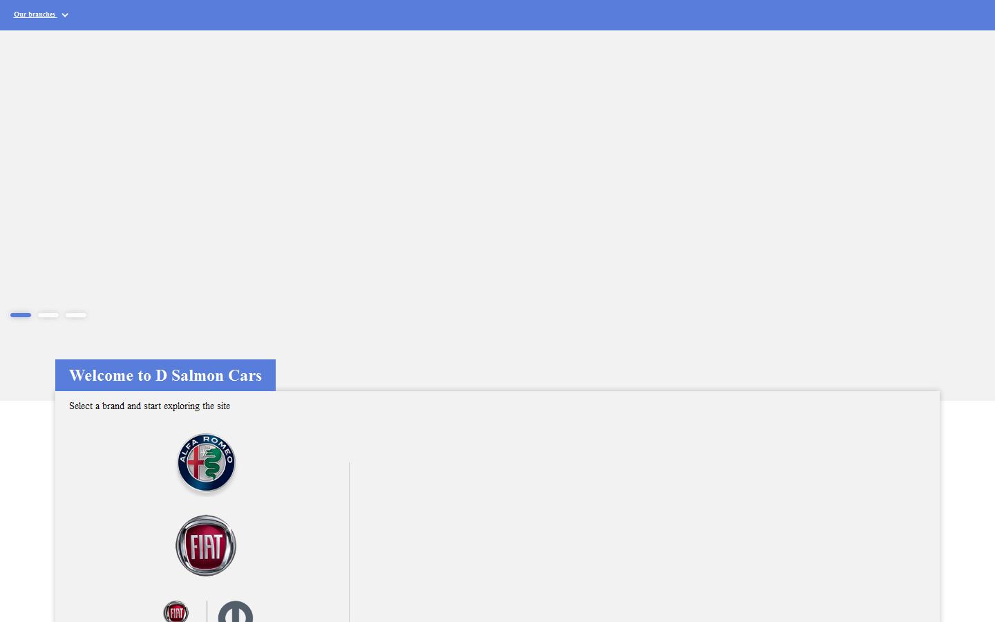 D Salmon Cars Website