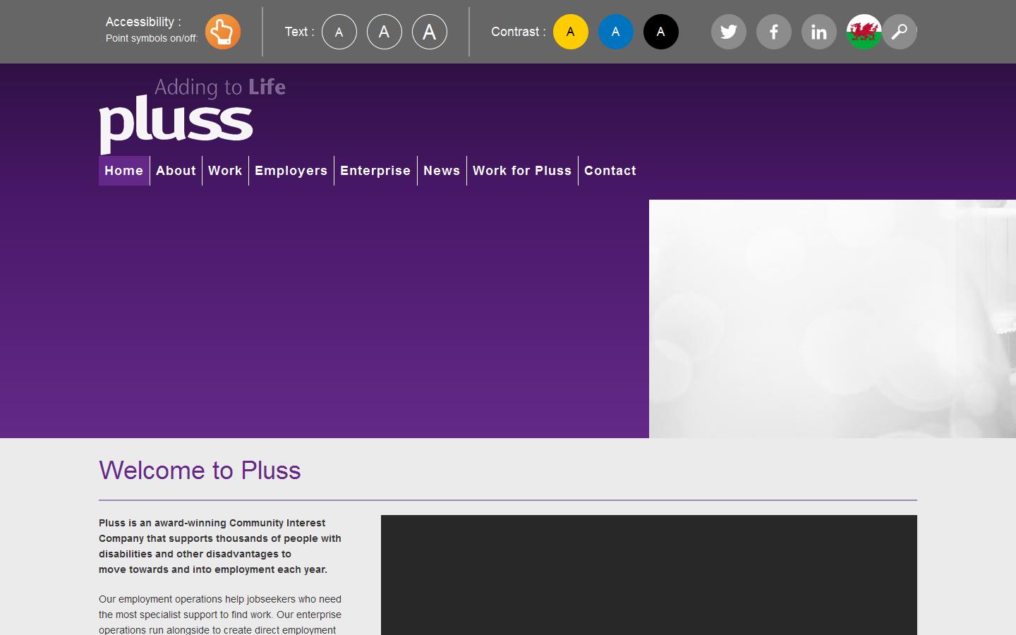 Pluss Website