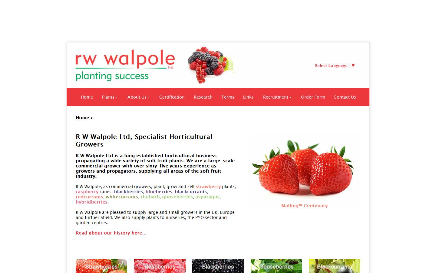 R W Walpole & Partners Website