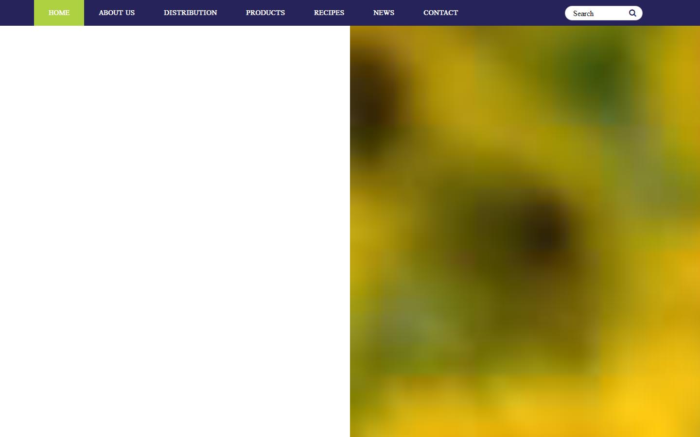 S F D GB Ltd Website