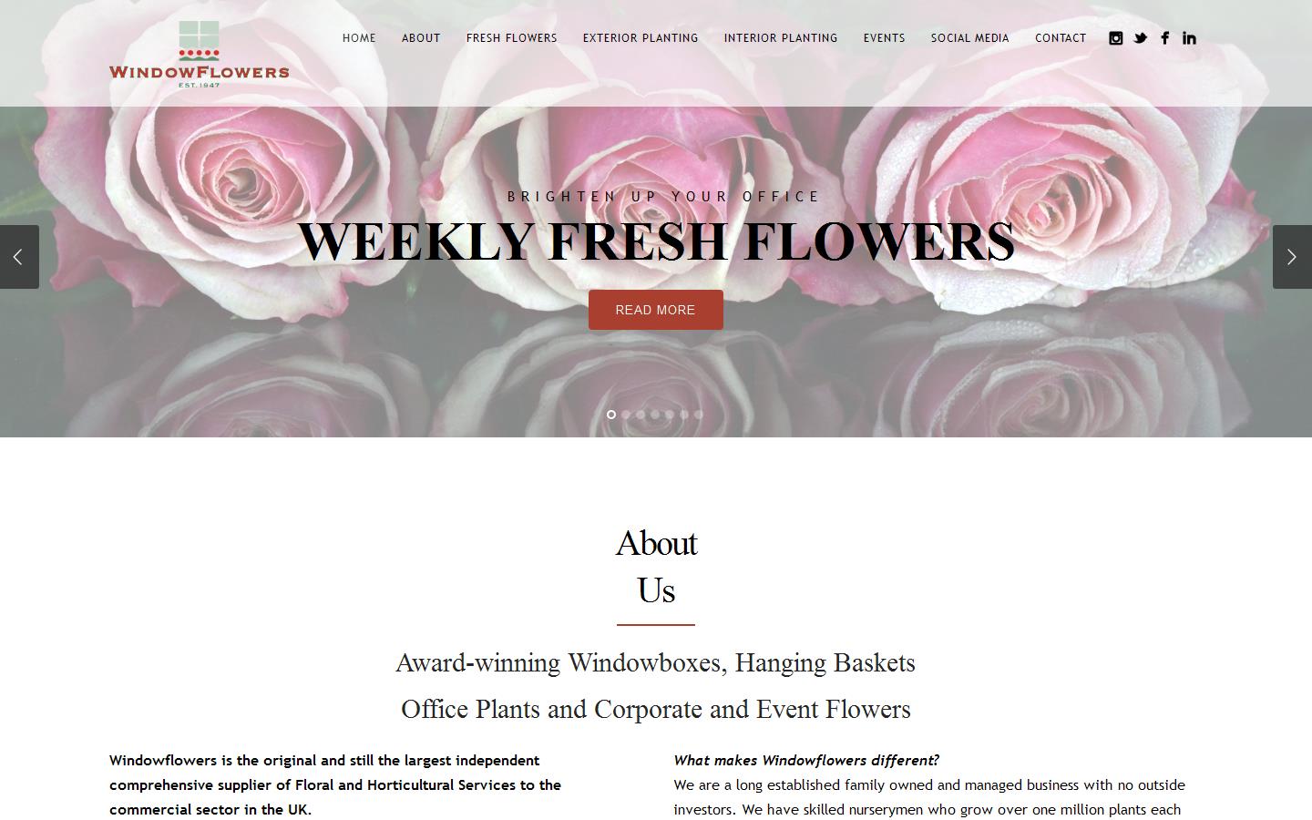 Windowflowers Website