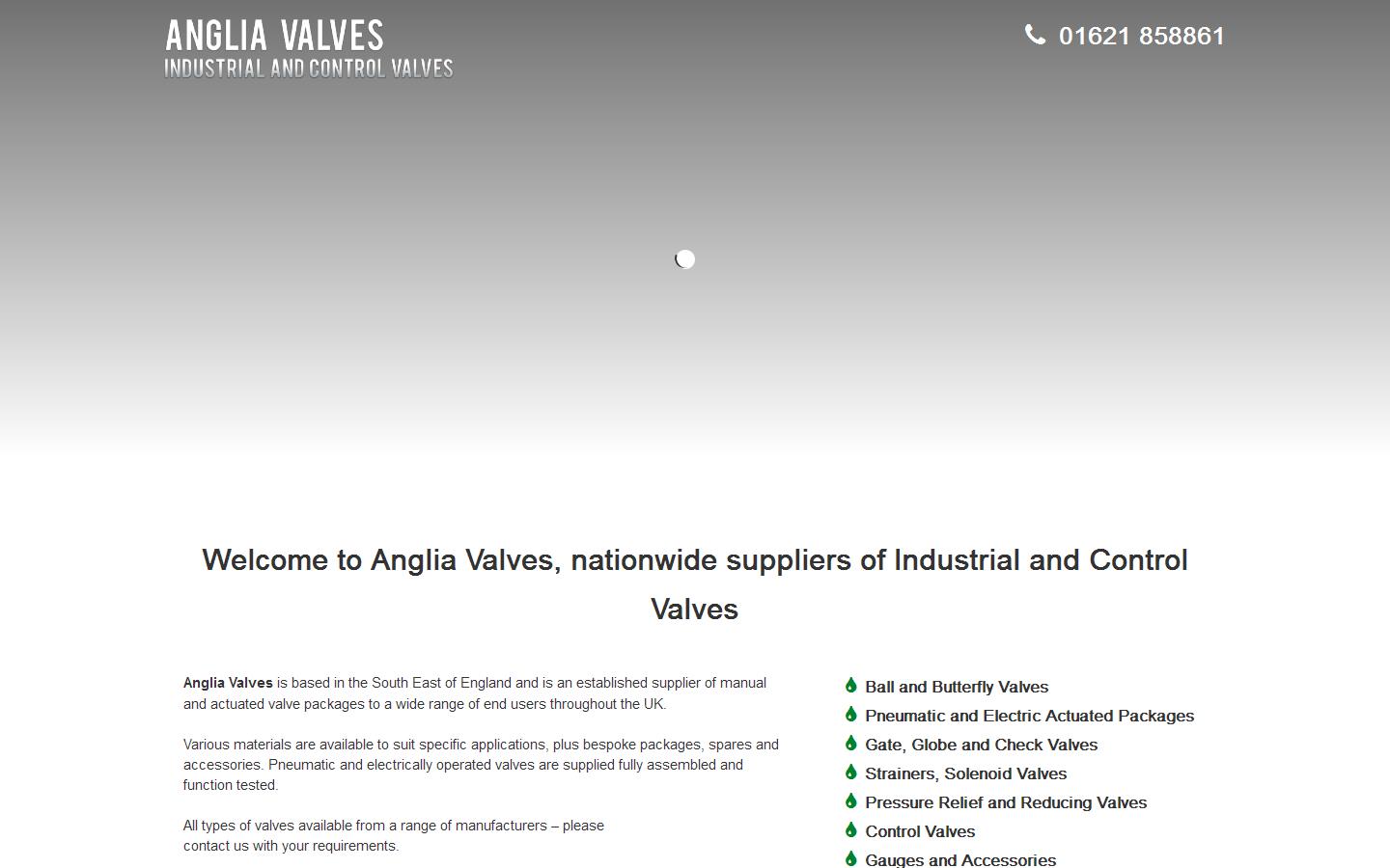Anglia Valves & Controls Ltd Website