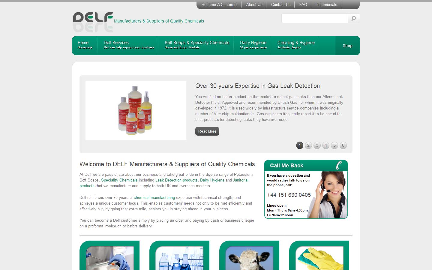 Delf Website