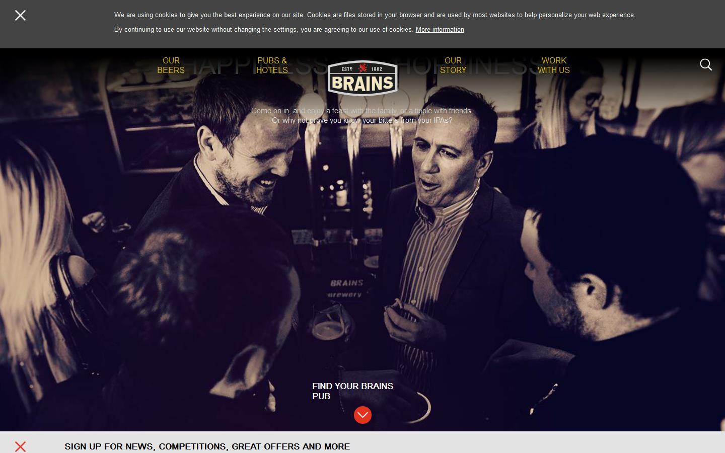 S A Brain & Co. Ltd Website