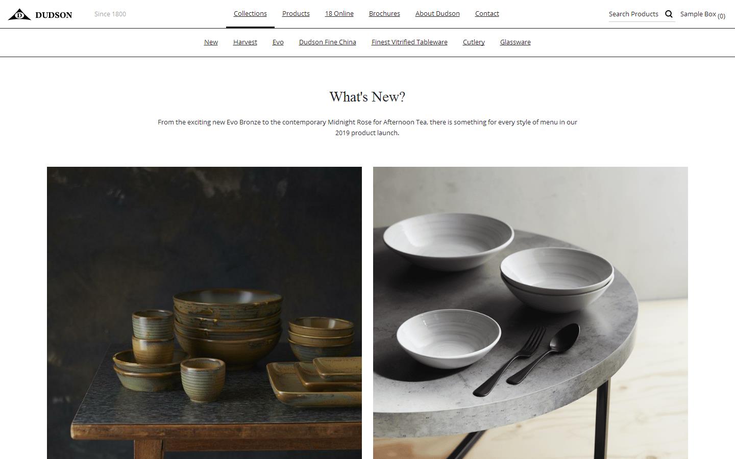 Dudson Website