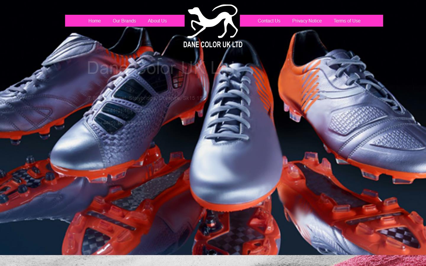 Dane Color UK Ltd Website