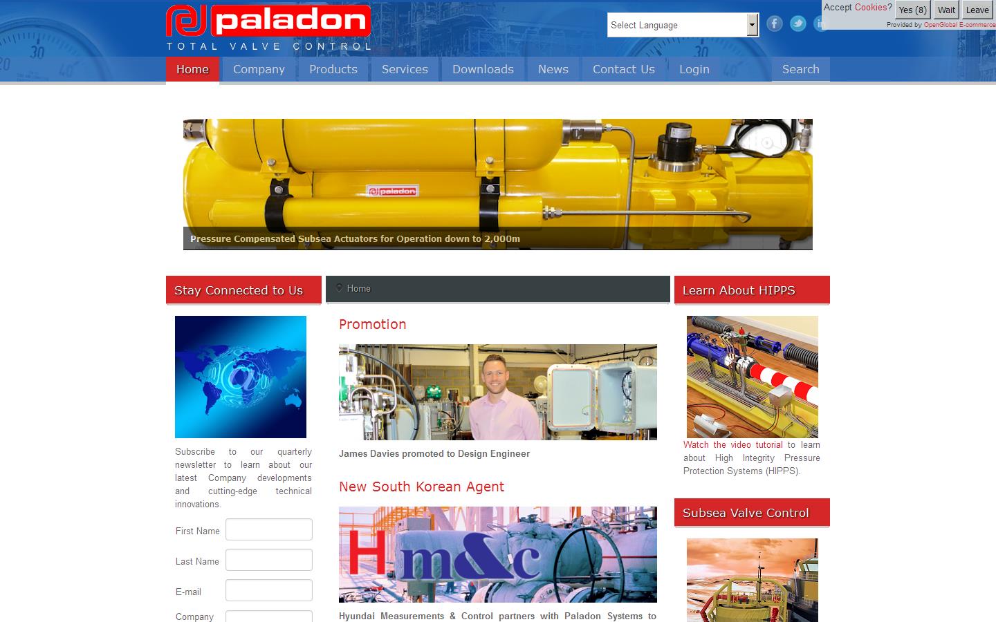 Paladon Systems Ltd Website