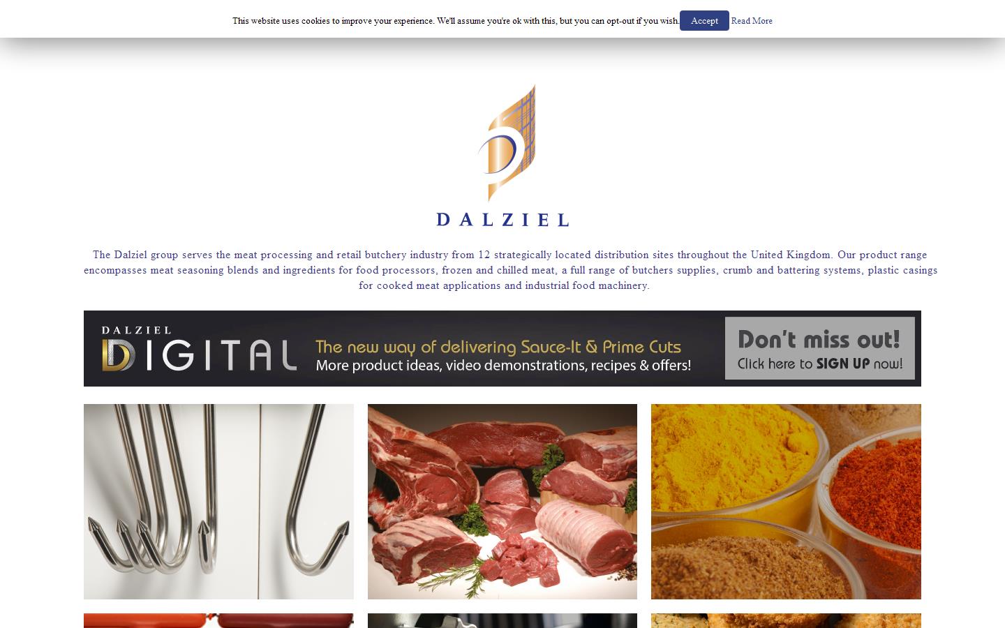 Dalziel Ltd Website