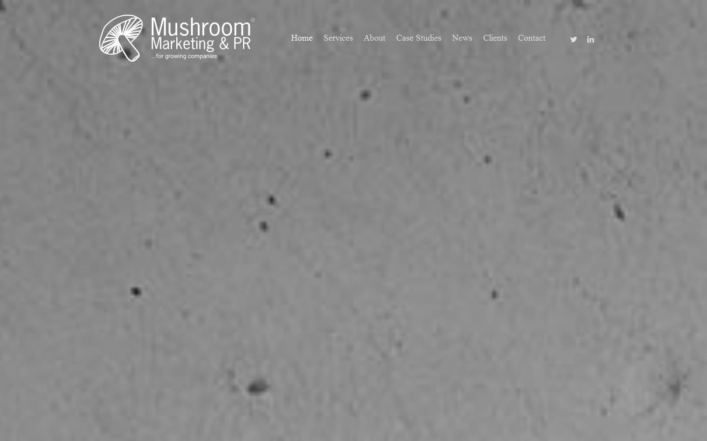 Mushroom Marketing Ltd Website