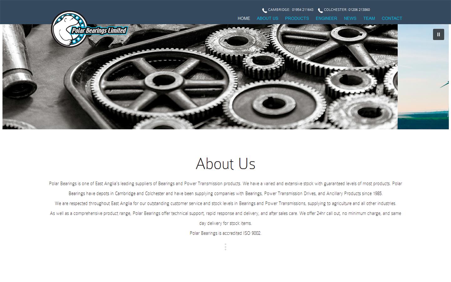 Polar Bearings Ltd Website