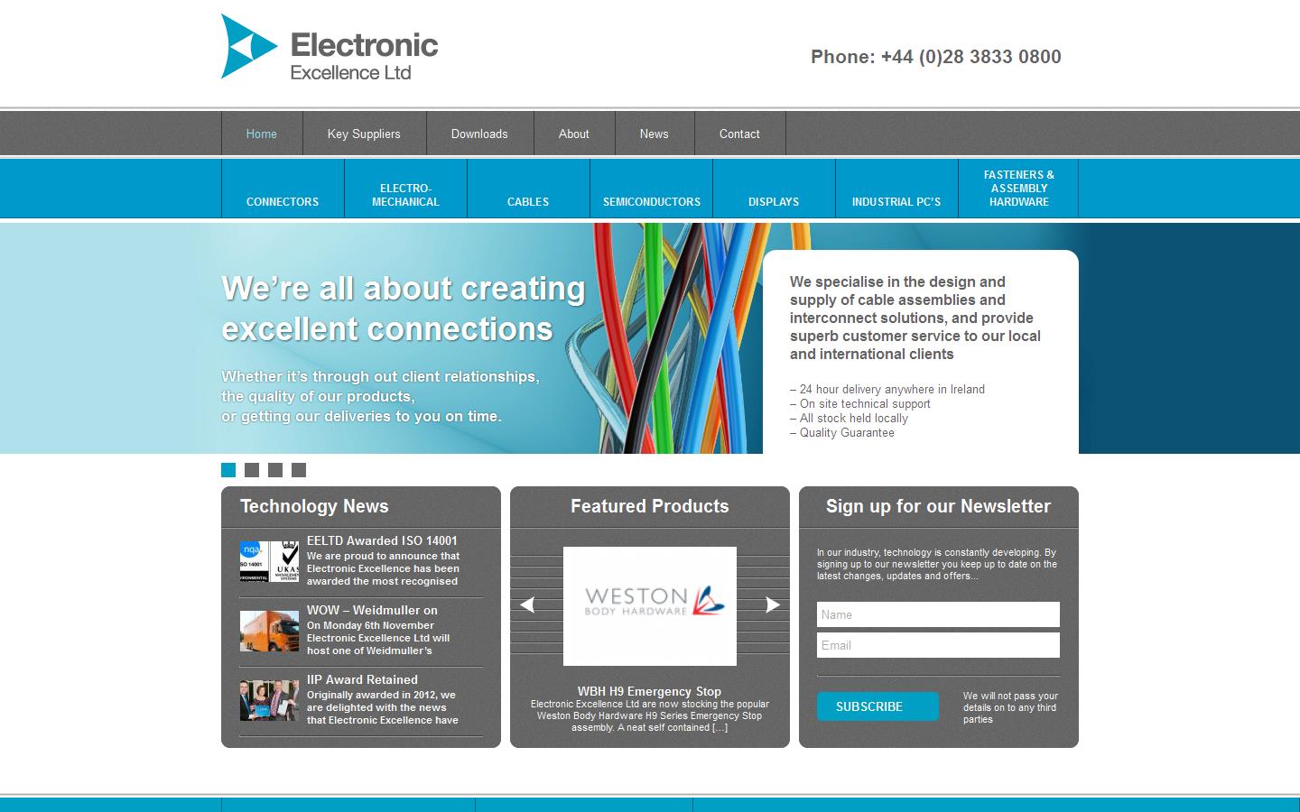Electronic Excellence Website