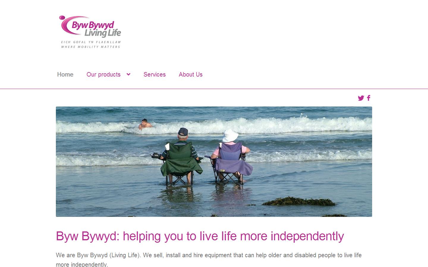 B Y W Bywyd Website