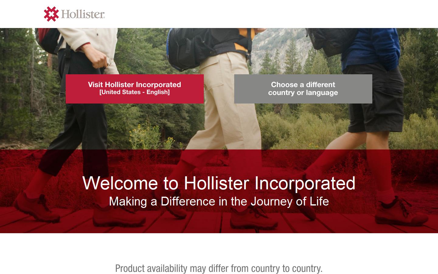 Hollister Ltd Website