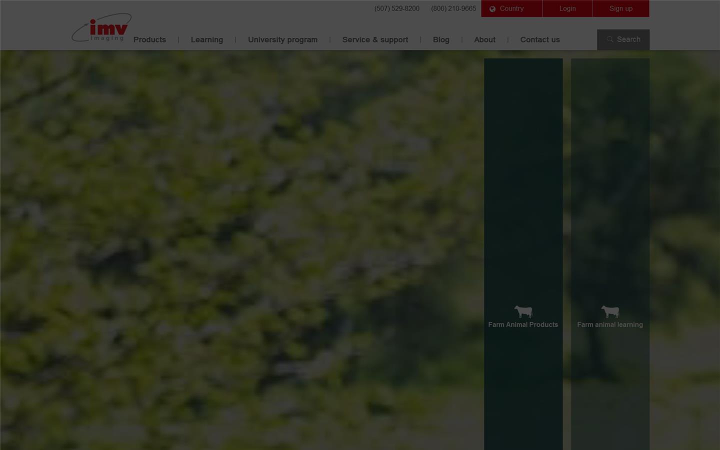 B C F Technology Website