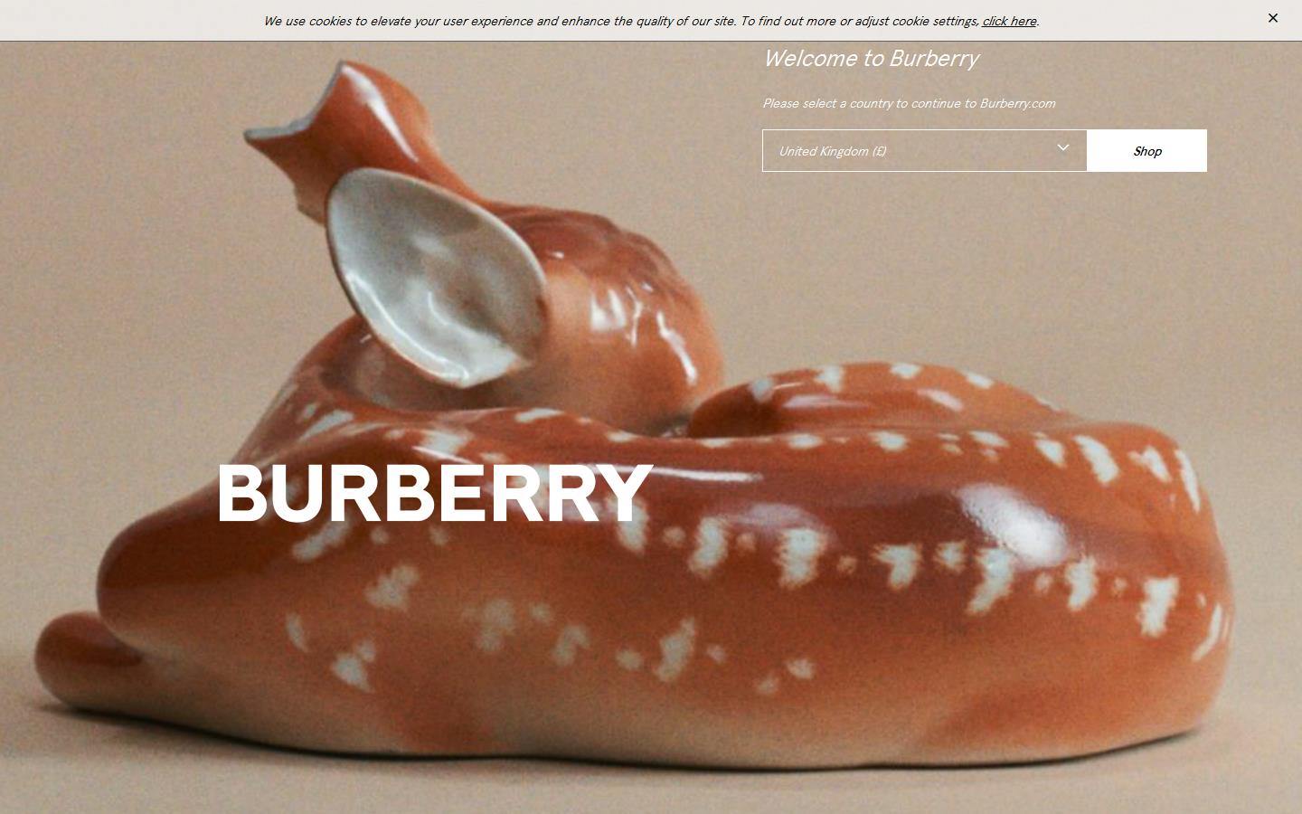 Burberry Website