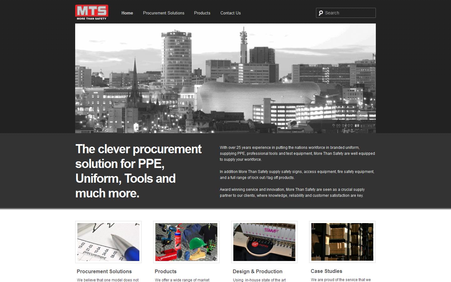 More Than Safety Website