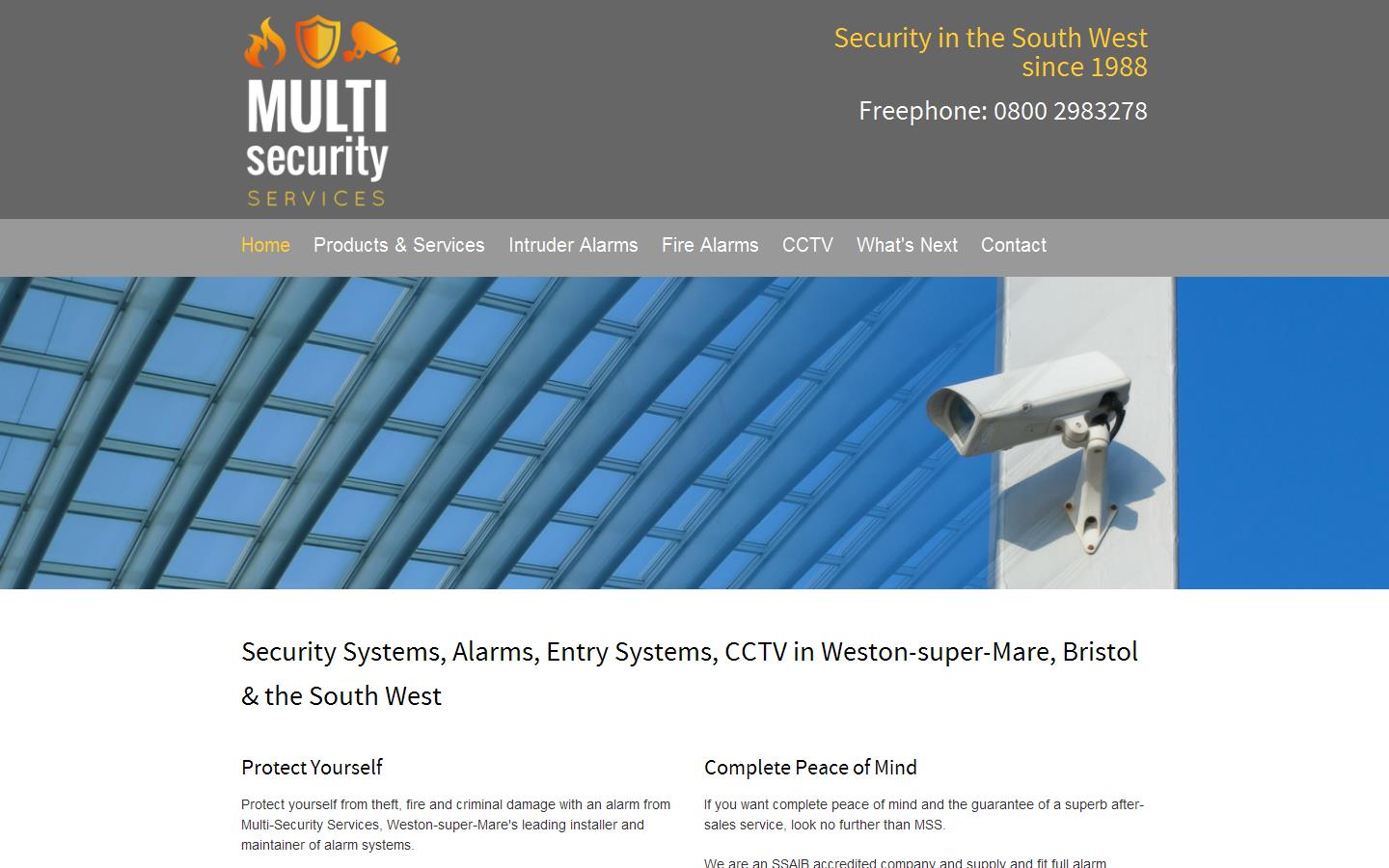 Multi Security Services Website