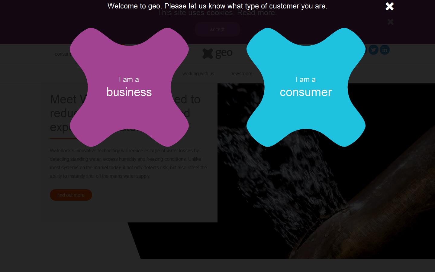 G E O Green Energy Options Website