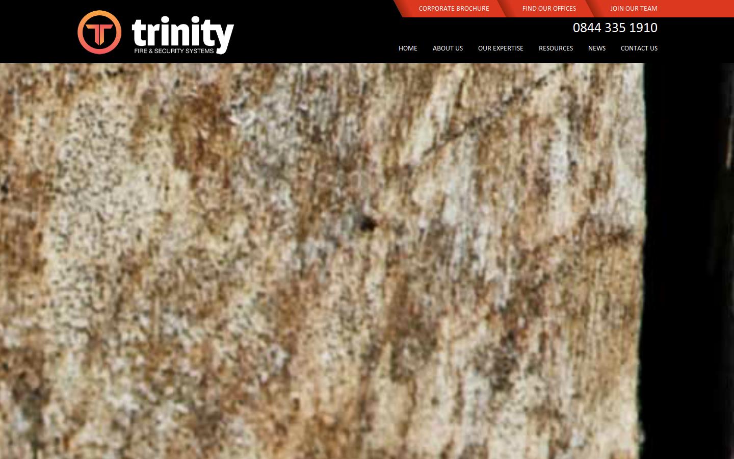 Trinity Fire & Security Systems Ltd Website