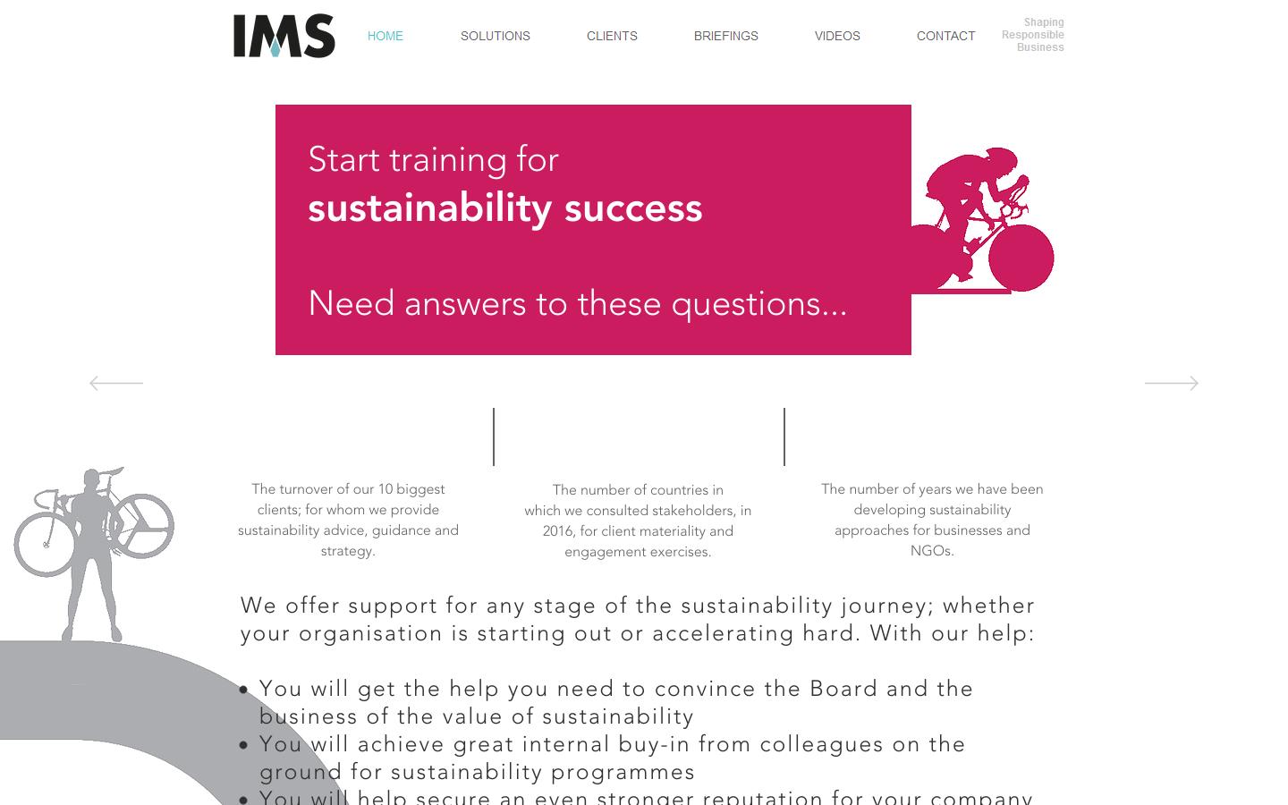 I M S Consulting Website