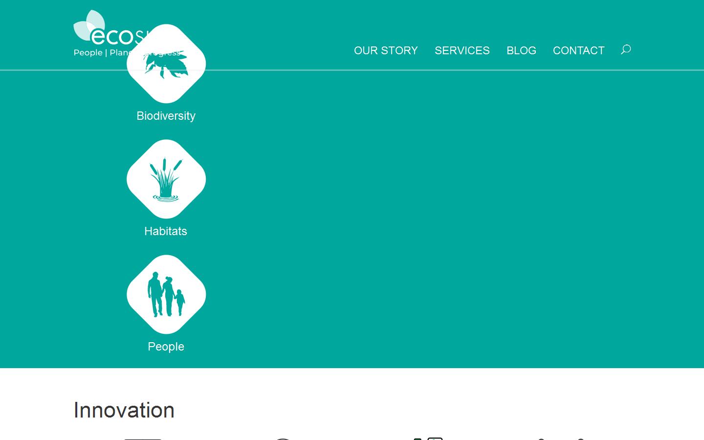 Ecosulis Website