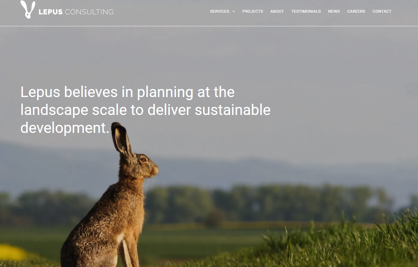 Lepus Consulting Website