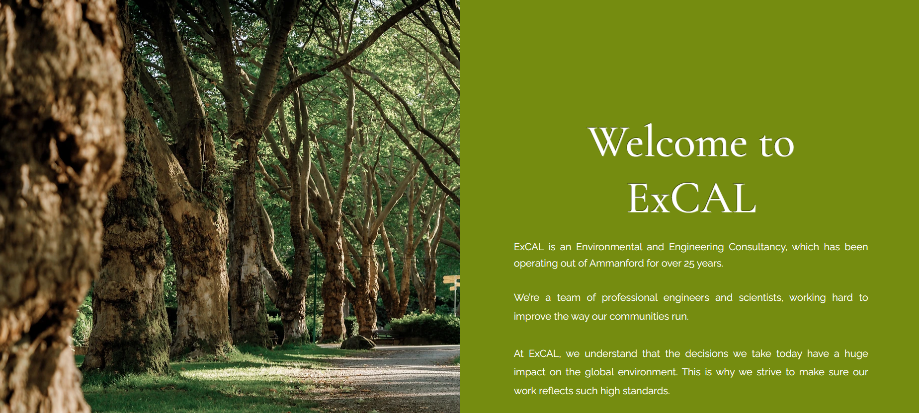 Excal Website