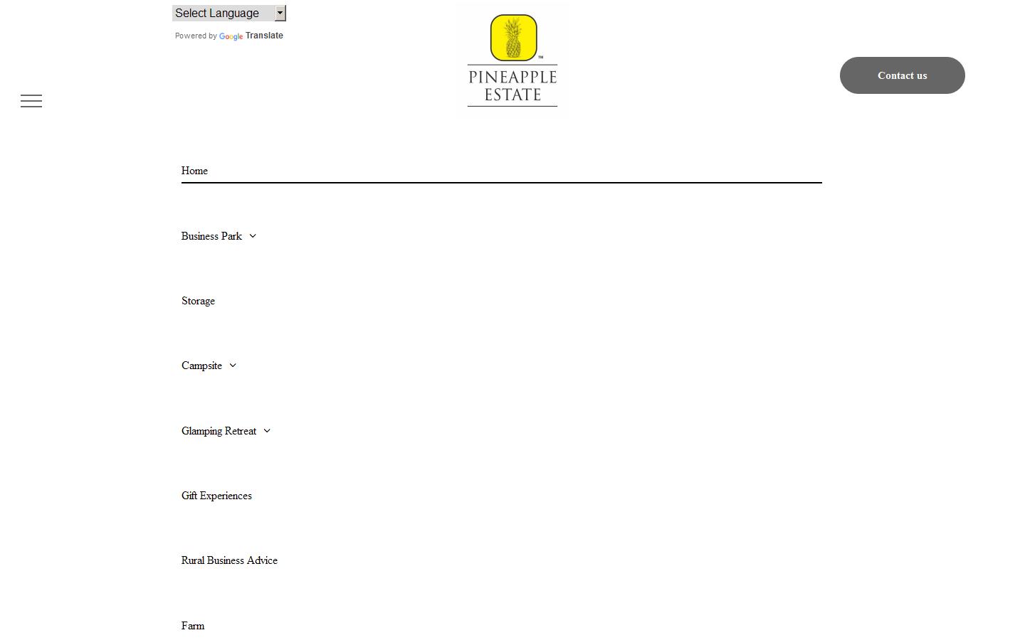 Pineapple Group Website