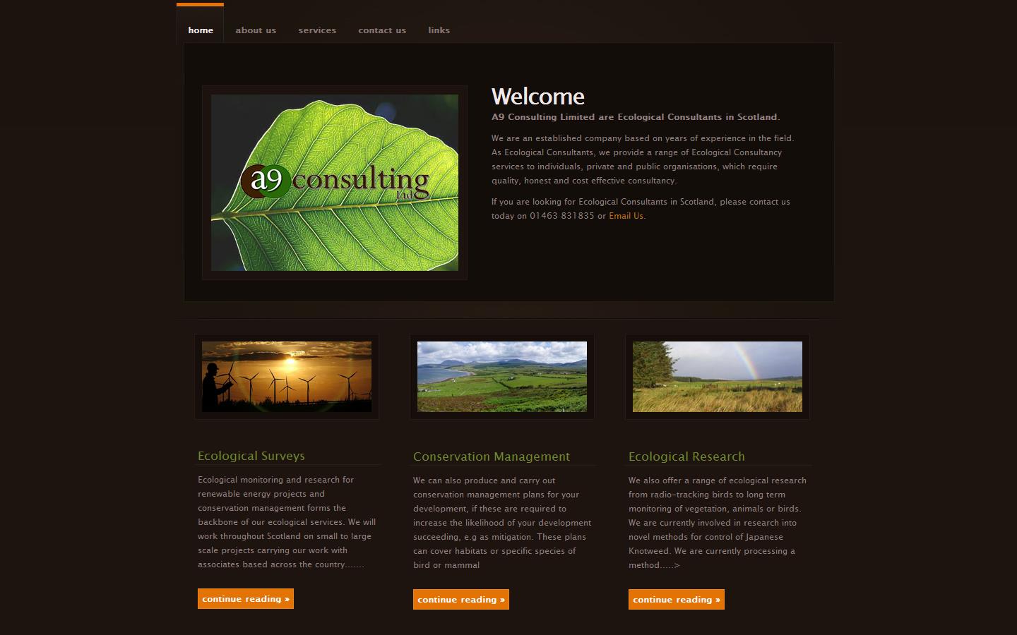 A 9 Consulting Ltd Website