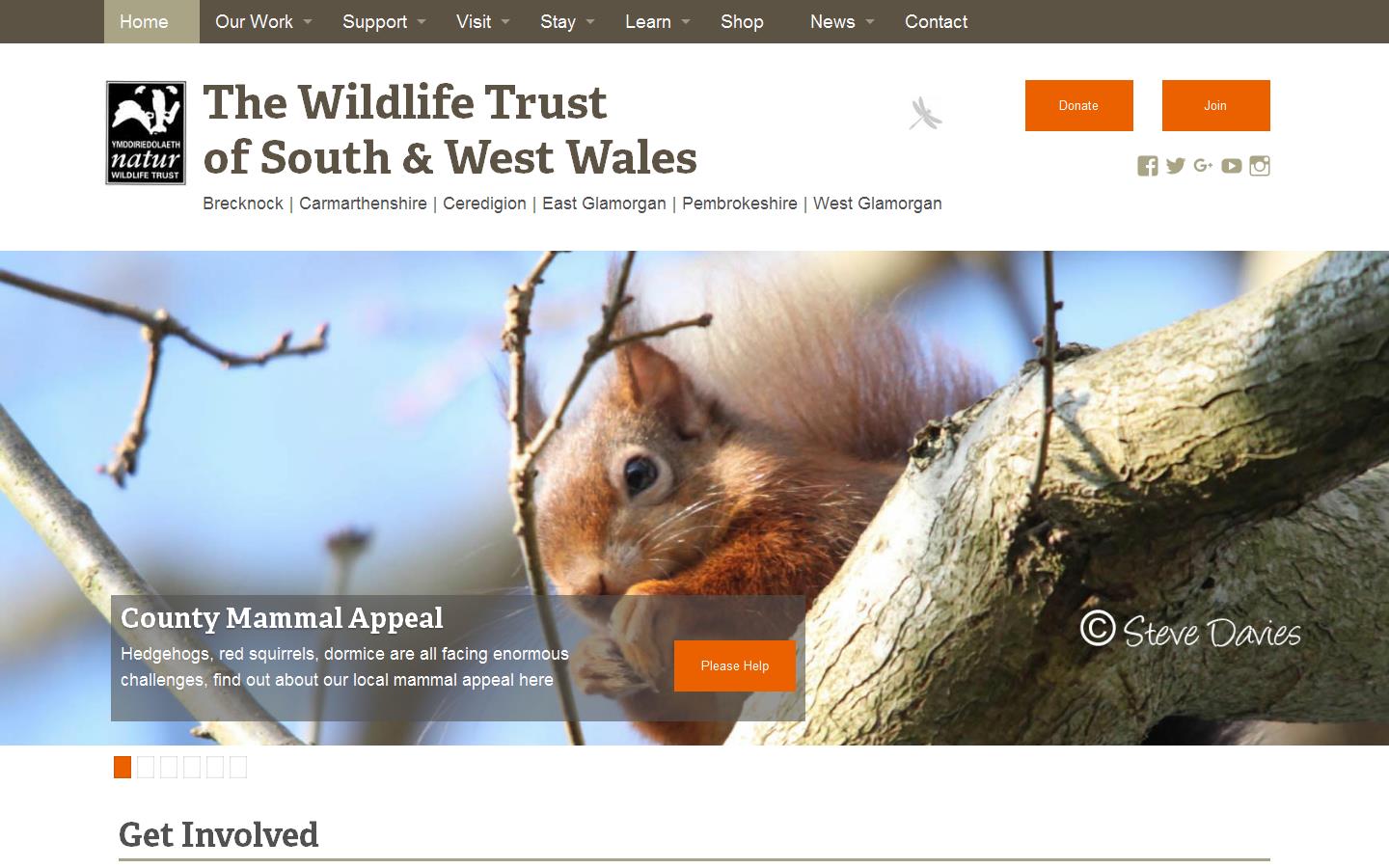 The Wildlife Trust of South & West Wales Website