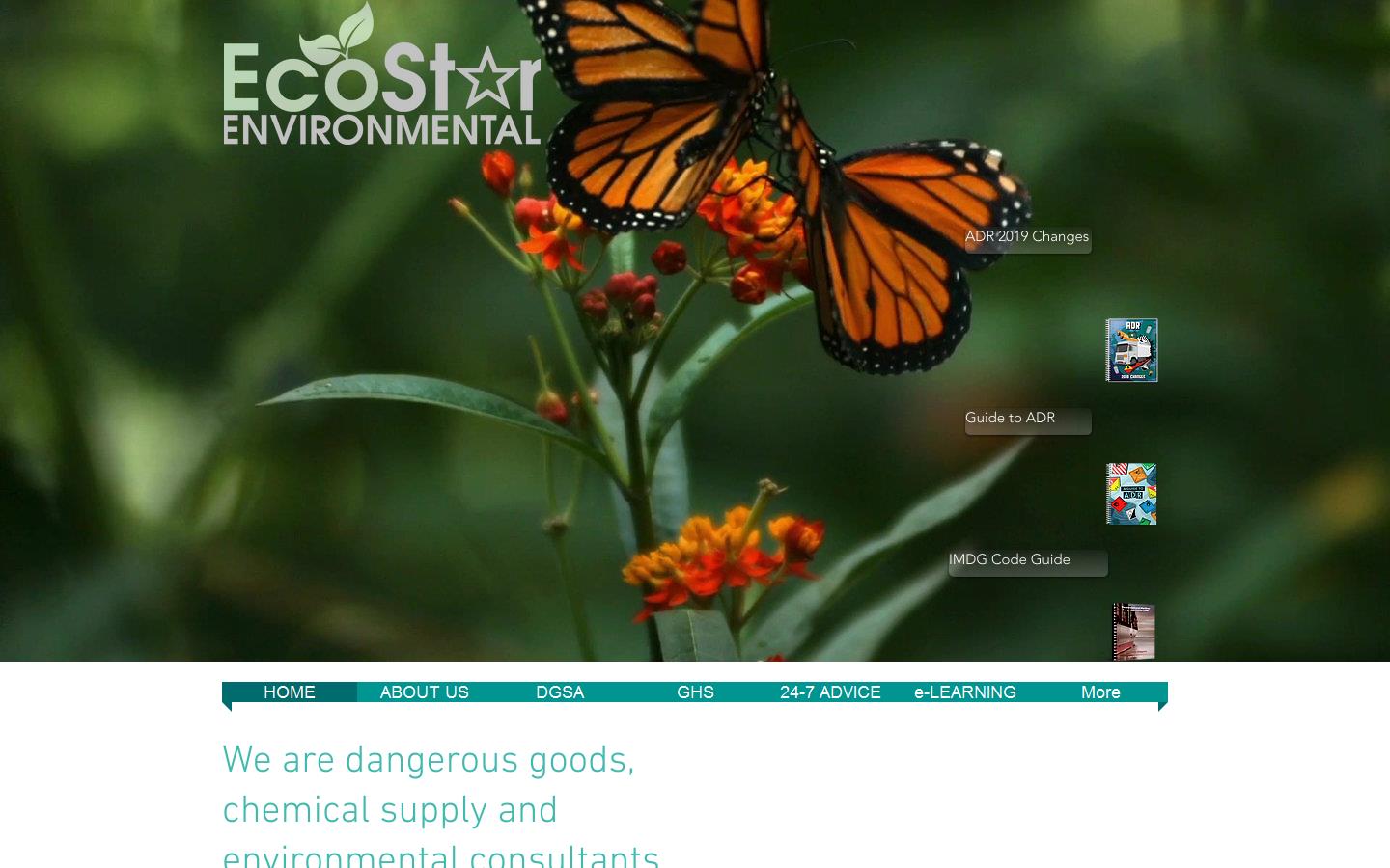 Ecostar Environmental Website