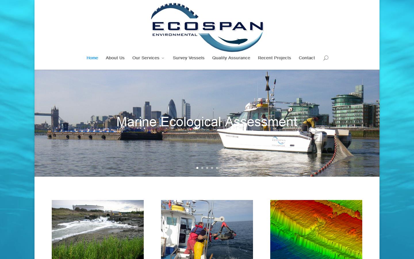 Ecospan Environmental Website