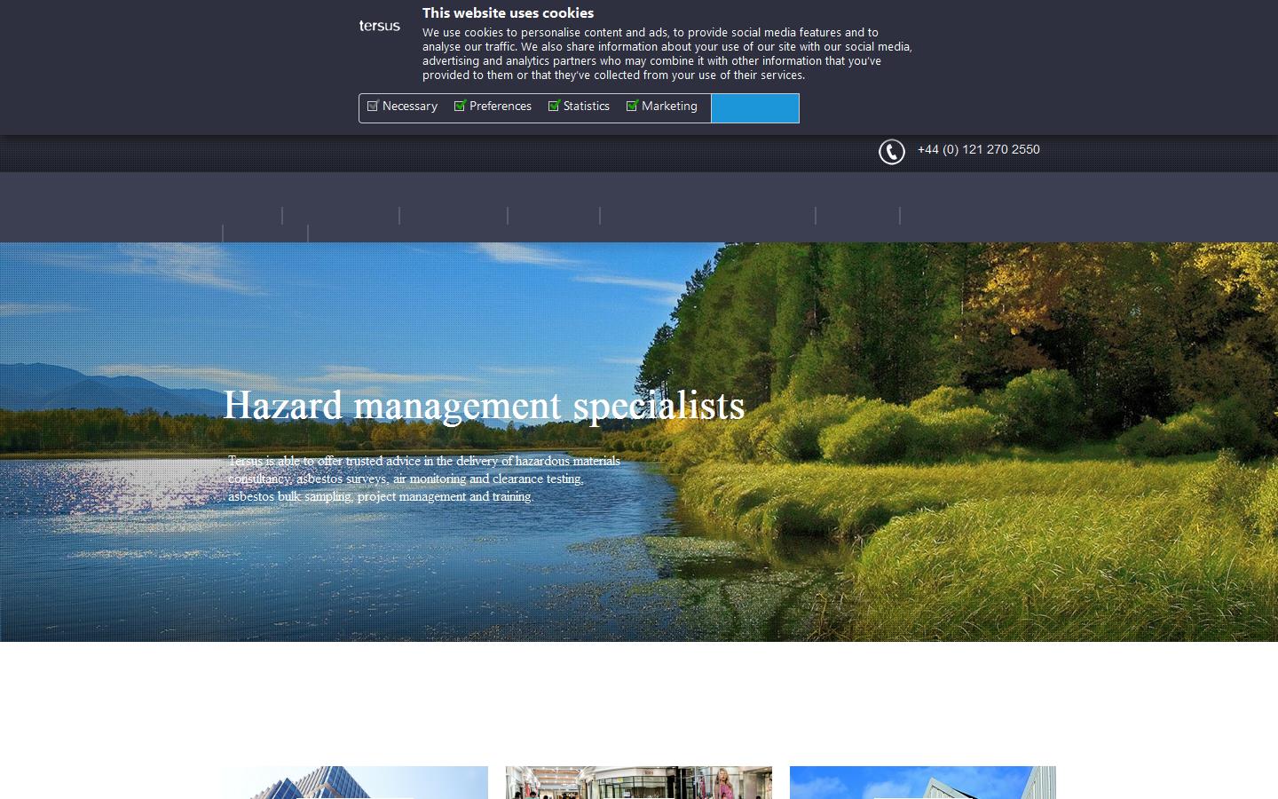 Tersus Consultancy Website