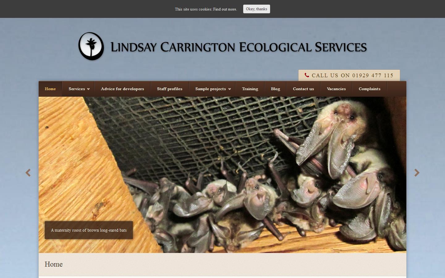 Lindsay Carrington Ecological Services Ltd Website