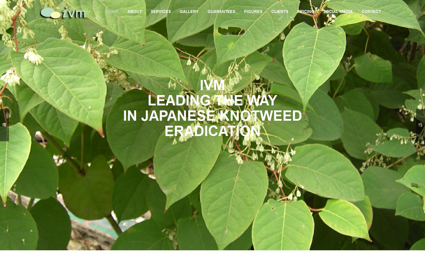 Invasive Vegetation Management Ltd Website