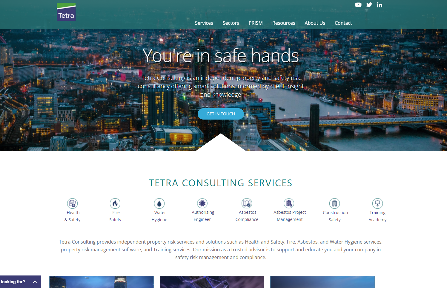 Tetra Consulting Website