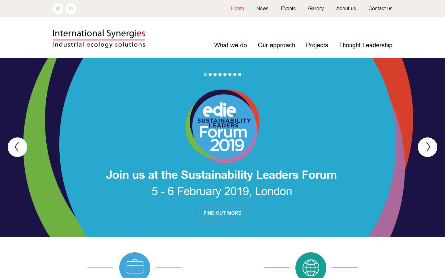 International Synergies Website