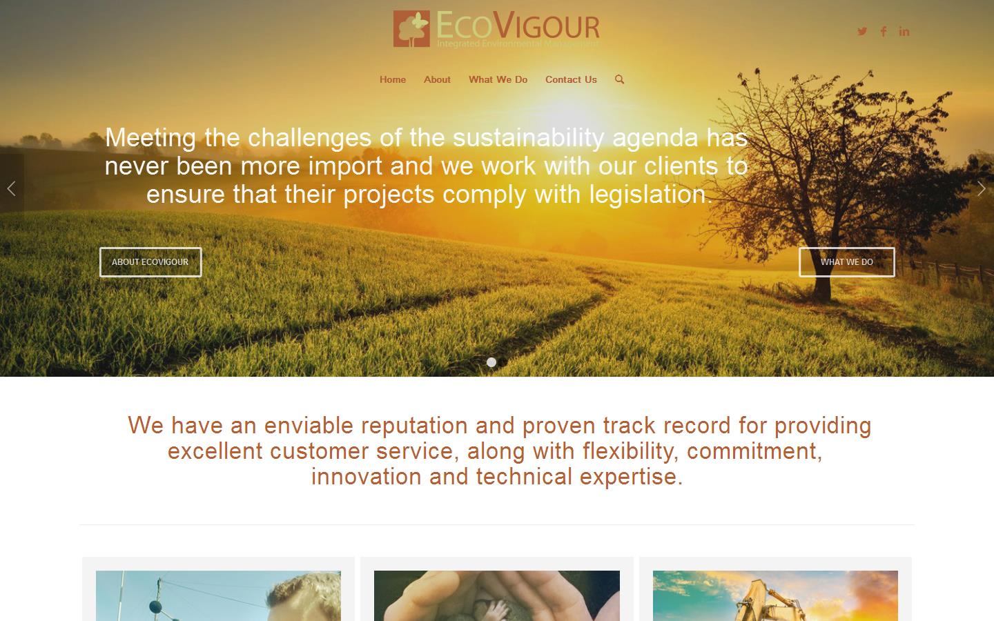 Eco Vigour Website