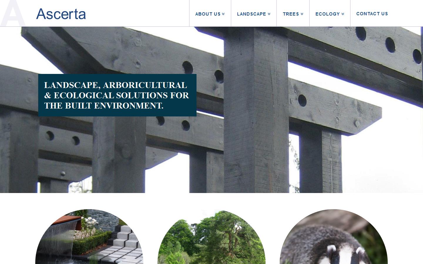 Ascerta Website