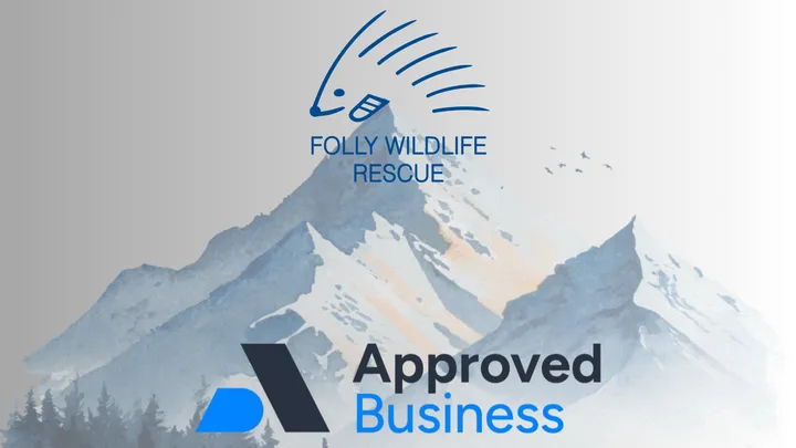 Raising money for Folly Wildlife rescue with Snowden walk